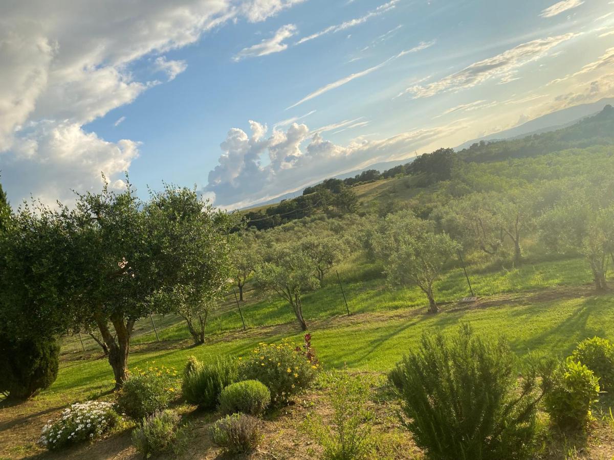 Agriturismo Palazzo Val Del Sasso Villastrada  Bagian luar foto